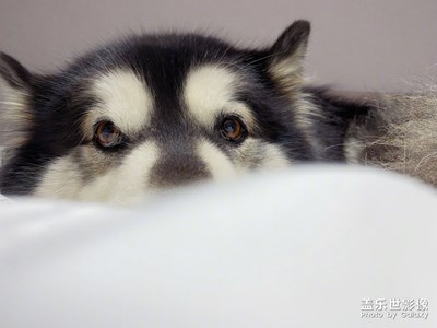 好久沒有出去，快得憂郁癥了??