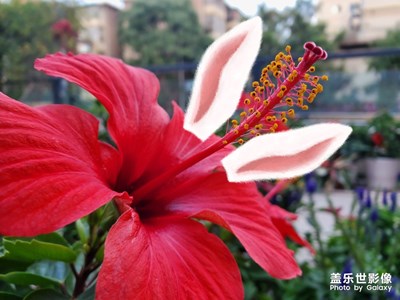 代表城市的未來