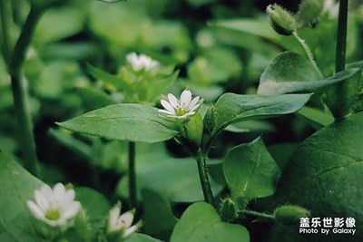 繼續(xù)無(wú)聊