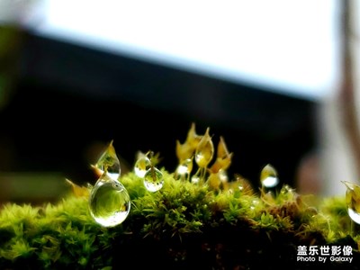 樓頂?shù)娘L(fēng)景