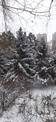 東北的冬，東北的雪，之二