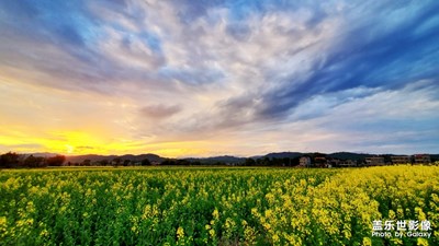 【身邊的景色】+家