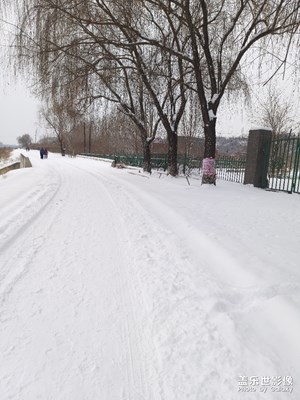 【身邊的景色】東北的雪