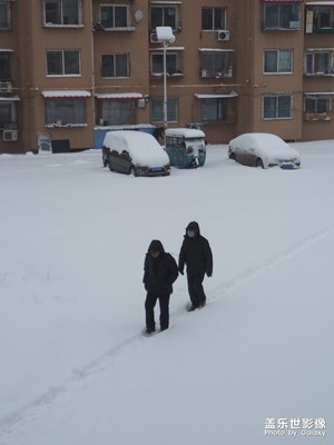 東北的雪