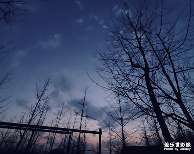 枯藤老樹昏鴉