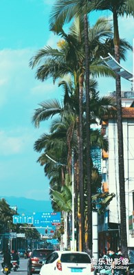 卑微小李已上線