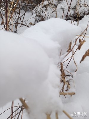 東北的雪