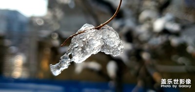 這一切都得從一只蝙蝠說(shuō)起