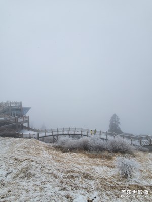 發(fā)兩張隨拍