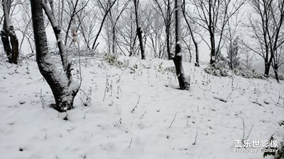很多年沒見過家鄉(xiāng)的雪了