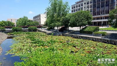 翻相冊(cè)看到的