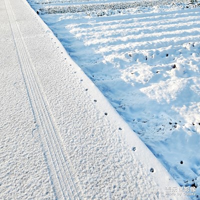 隨手拍，湊圖啦。