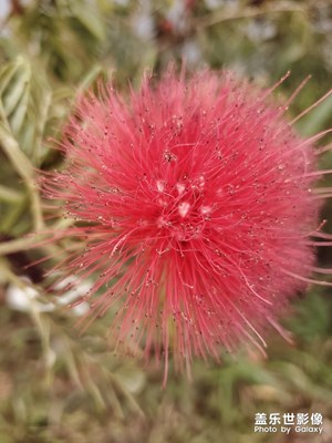 【給最想見(jiàn)的你】一起去郊游