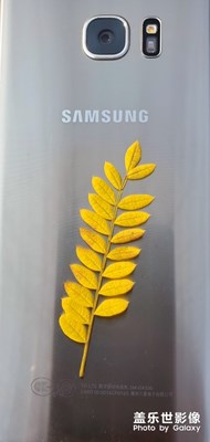 無(wú)聊隨便拍拍