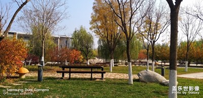 隨拍5之歲月靜好