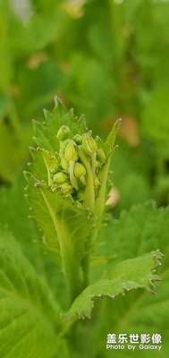 【曾經(jīng)去過的遠(yuǎn)方】+你們肯定都不知道是哪