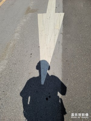 用三星Galaxy S20 Ultra 記錄我的身邊。