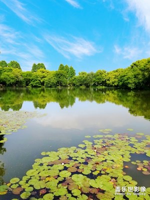 【曾經(jīng)去過的遠(yuǎn)方】+美麗的景色