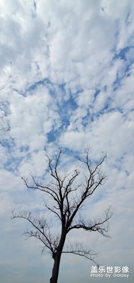 疫情期間放放風(fēng)