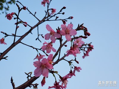 好天氣，出來走走