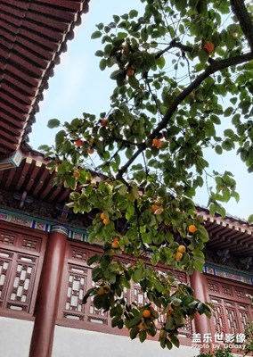 [曾經(jīng)去過的遠(yuǎn)方]+夢回長安之華清水滑