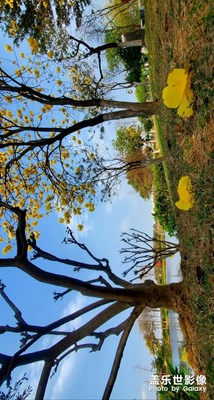 一切安好，最是難能可貴