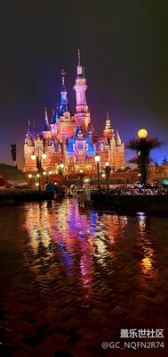 【曾經(jīng)去過的地方】迪士尼煙火秀