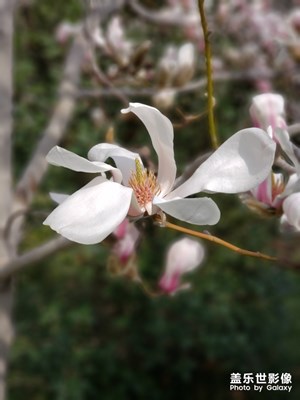 沒有什么呢？