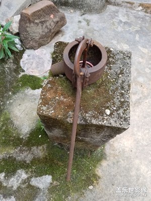 【居家生活】+農(nóng)村人