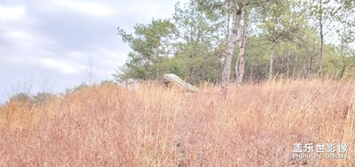 【居家生活】+我是小園丁