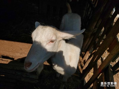 今天是個難得的好天氣。