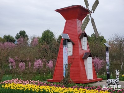 重慶·墊江·牡丹櫻花世界