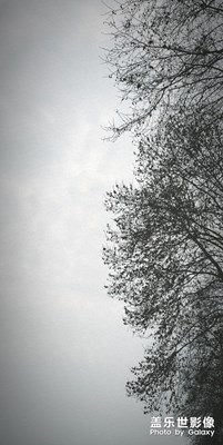 晴天的景色
