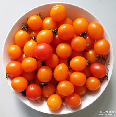 【居家生活】+手機(jī)隨拍