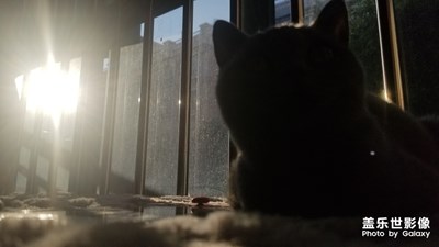 無聊發(fā)一發(fā)