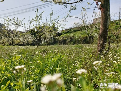 春暖花開放飛自我