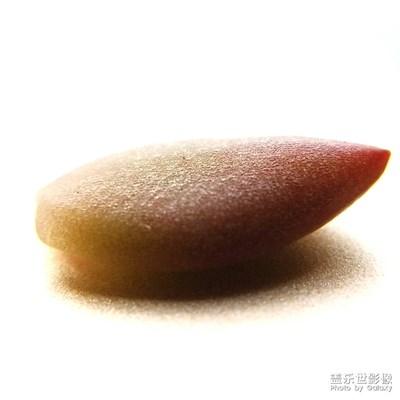 光影的藝術(shù)