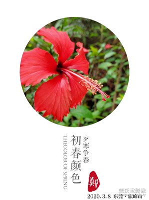 東莞旗峰山健走