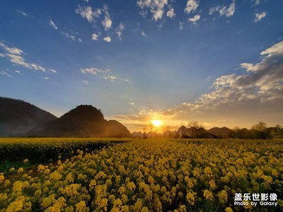 春光無限，萬物生長