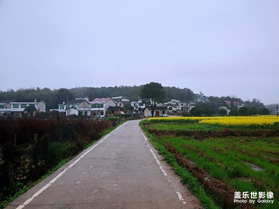 鄉(xiāng)下的早晨