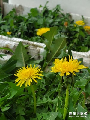 隨手拍了幾張，感覺還可以吧！