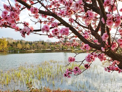 【上下班的路上】+一路風(fēng)光