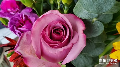 春天與花兒??