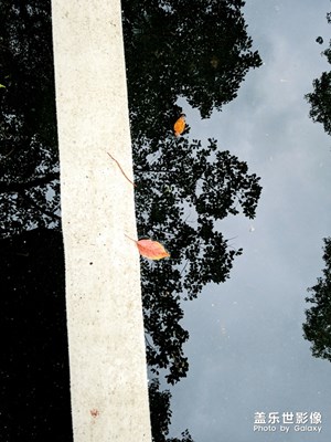 【上下班的路上】+路上隨拍