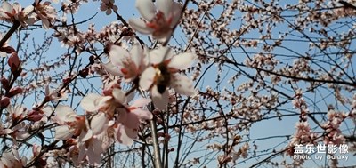 來(lái)，到我家來(lái)感受春