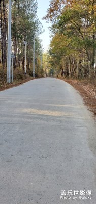 【上下班的路上】+路上隨拍