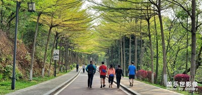 周末，旗峰山健走