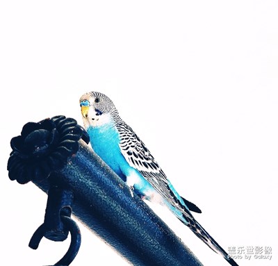 待到天朗氣清之時，再去做更多喜歡的事。