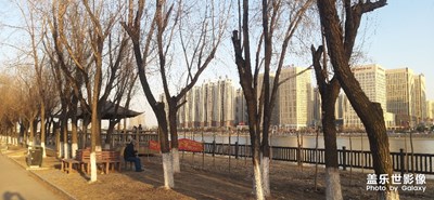 河邊隨拍
