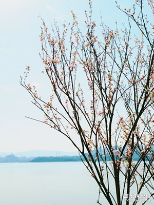 春光燦爛的時節(jié)帶著20到處晃